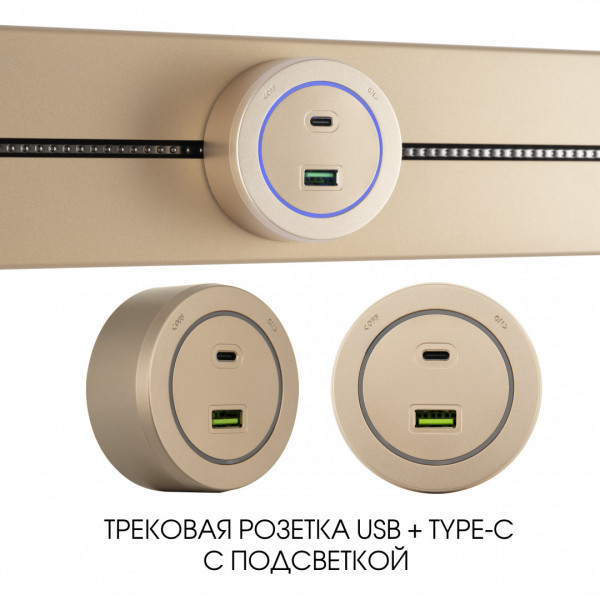 Трековая розетка, 3.1A 250V 399731TS/USB-Type-C Gold