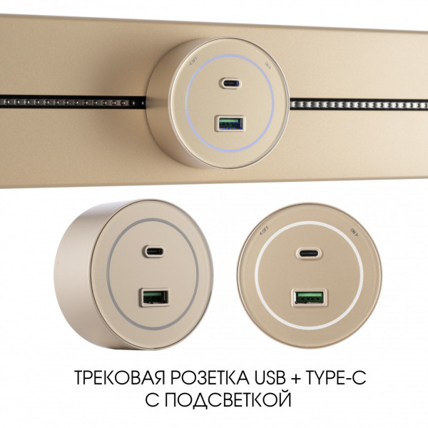 Трековая розетка, 3.1A 250V 399732TS/USB-Type-C Gold