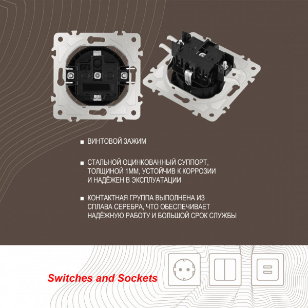 Розетка с заземлением и шторками, 16A 250V 202.40-1.black