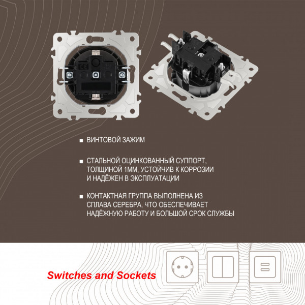 Розетка с заземлением и шторками, 16A 250V 202.40-1.shampan