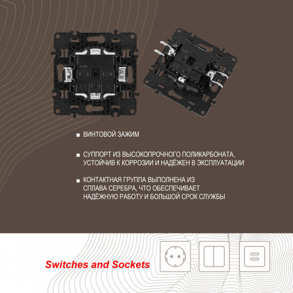 Розетка с заземлением и шторками, 16A 250V 217.40-1.shampan