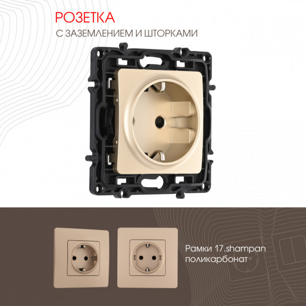 Розетка с заземлением и шторками, 16A 250V 217.40-1.shampan