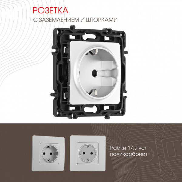 Розетка с заземлением и шторками, 16A 250V 217.40-1.silver