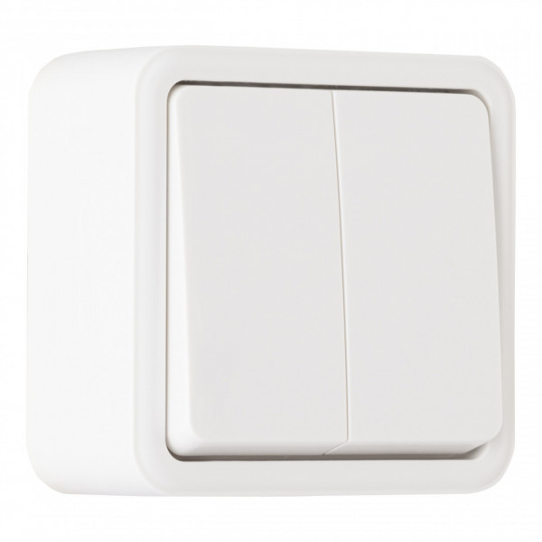 Выключатель двухклавишный, 10AX 250V 310.30-2.white