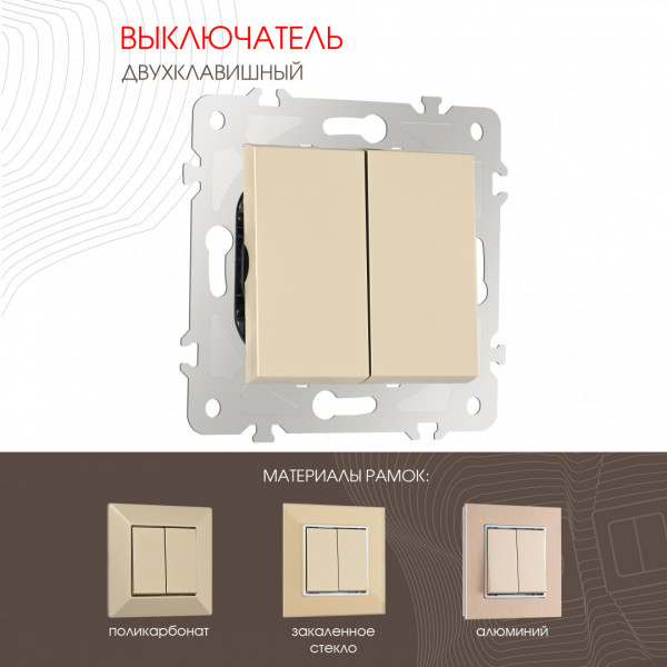 Выключатель двухклавишный, 10AX 250V 203.30-2.shampan