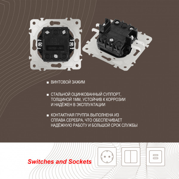 Выключатель двухклавишный с подсветкой, 10AX 250V 202.31-2.shampan