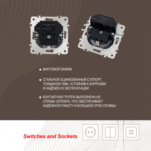 Розетка с заземлением, шторками + USB, 16A 250V, USB DC 5V 2.1A 203.47-1.silver