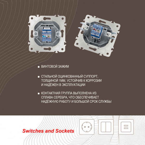 Розетка интернет RJ45 203.45-1.silver