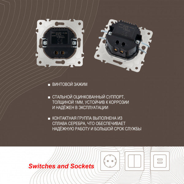 Розетка USB 2.1А+1А 203.46-1.shampan