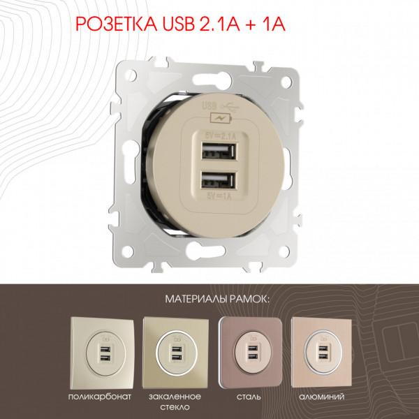 Розетка USB 2.1А+1А 202.46-1.shampan