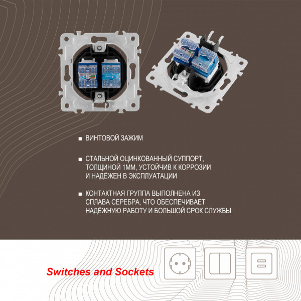 Розетка телефонная RJ11 + интернет RJ45 202.44-1.shampan