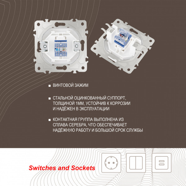 Розетка интернет, RJ45 205.45-1.white