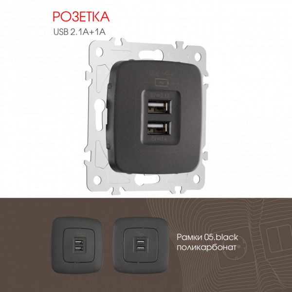 Розетка USB 2.1А+1А 205.46-1.black