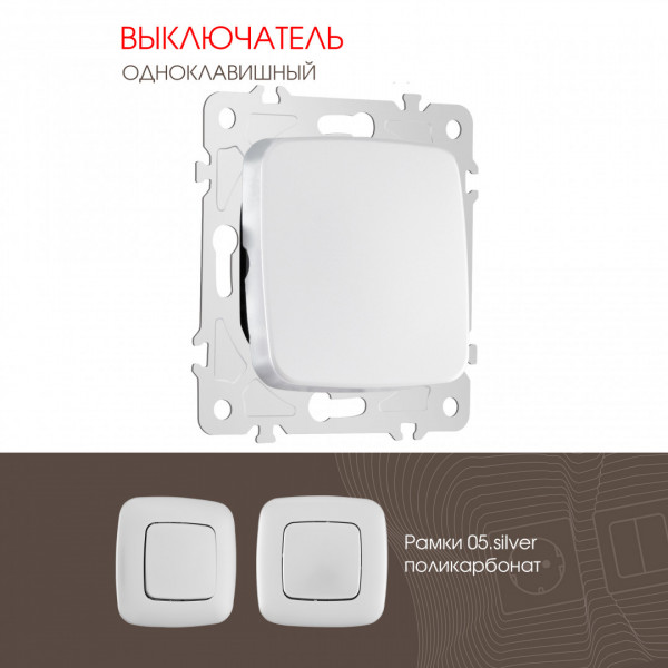 Выключатель одноклавишный, 10AX 250V 205.30-1.silver