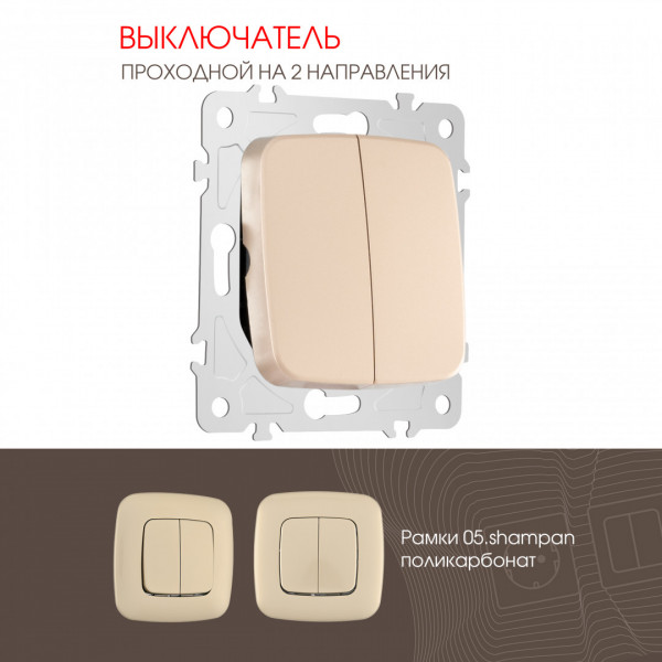 Выключатель двухклавишный проходной (на 2 направления), 10AX 250V 205.32-2.shampan