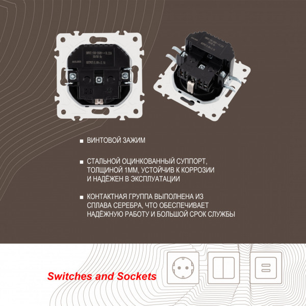 Розетка с заземлением, шторками + 2 USB, 16A 250V, USB DC 5V 2.1A 205.47-1.shampan