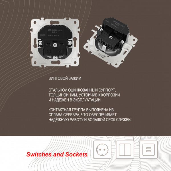 Розетка с заземлением, шторками + 2 USB, 16A 250V, USB DC 5V 2.1A 206.47-1.silver