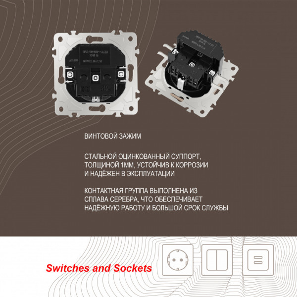 Розетка с заземлением, шторками + 2 USB, 16A 250V, USB DC 5V 2.1A 206.47-1.shampan