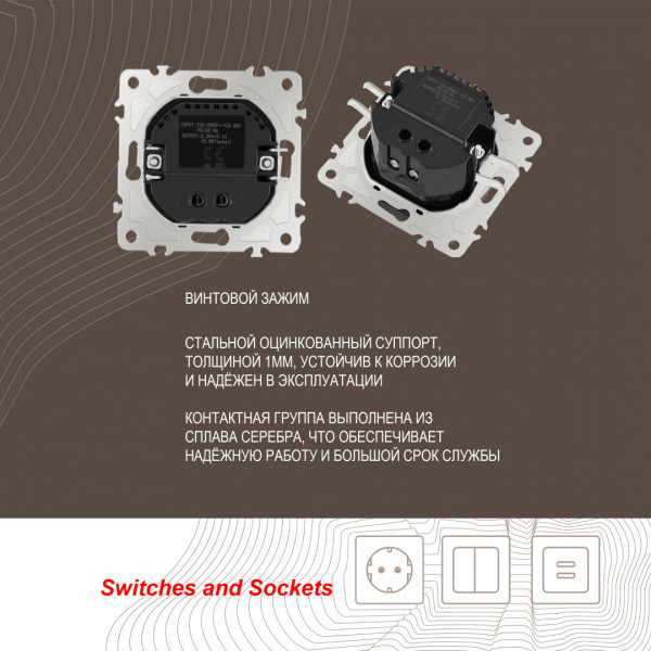 Розетка USB 2.1А+1А 206.46-1.shampan