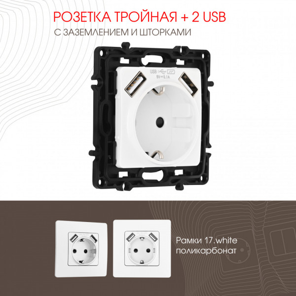 Розетка с заземлением, шторками + 2 USB, 16A 250V, USB DC 5V 2.1A 217.47-1.white
