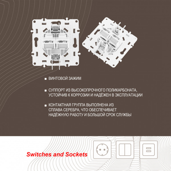 Розетка RJ45 х 2 217.45-2.white