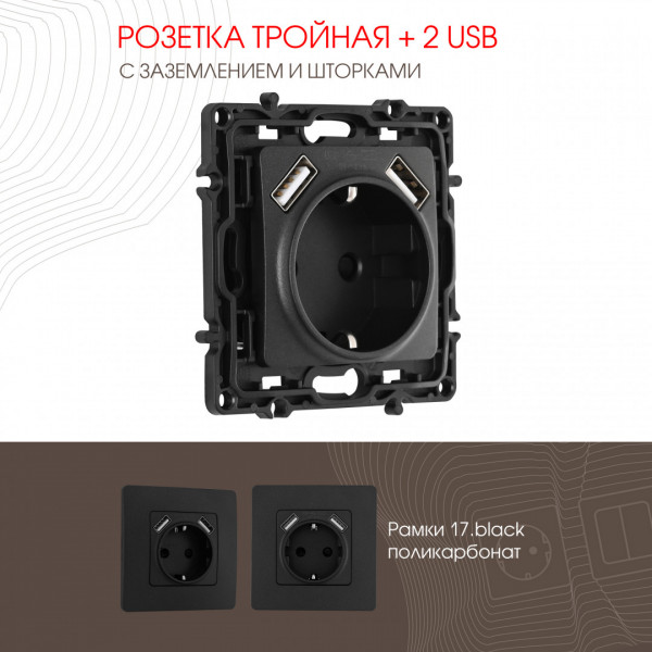Розетка с заземлением, шторками + 2 USB, 16A 250V, USB DC 5V 2.1A 217.47-1.black