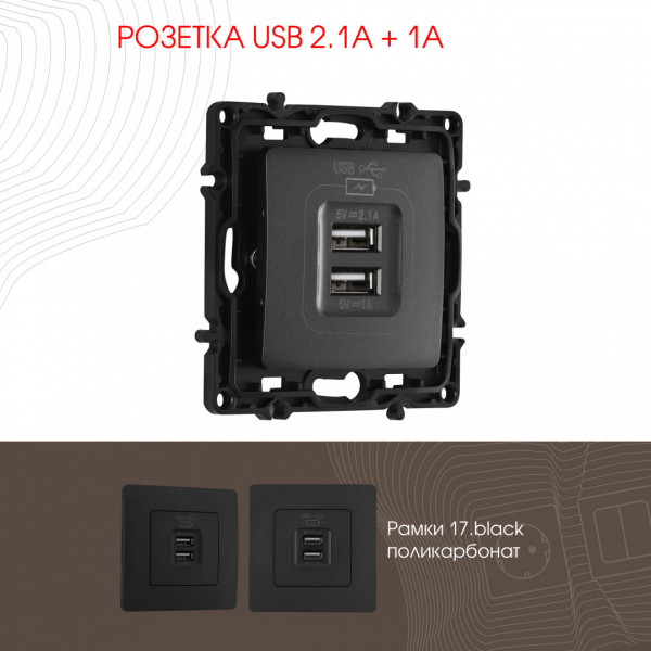 Розетка USB 2.1А+1А 217.46-1.black