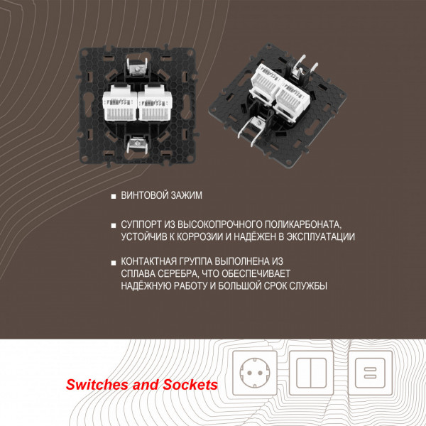 Розетка RJ45 х 2 217.45-2.black