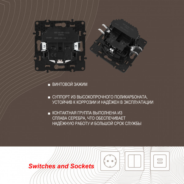 Розетка с заземлением, шторками + 2 USB, 16A 250V, USB DC 5V 2.1A 217.47-1.silver