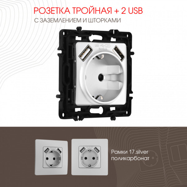 Розетка с заземлением, шторками + 2 USB, 16A 250V, USB DC 5V 2.1A 217.47-1.silver