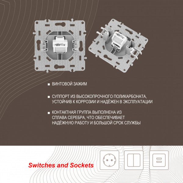 Розетка интернет, RJ45 217.45-1.silver