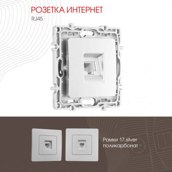 Розетка интернет, RJ45 217.45-1.silver