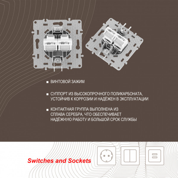 Розетка RJ45 х 2 217.45-2.silver