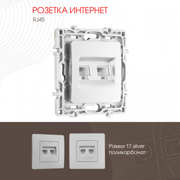 Розетка RJ45 х 2 217.45-2.silver