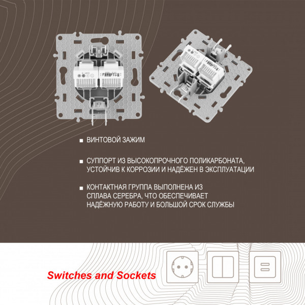 Розетка телефонная RJ11 + компьютерная RJ45 217.44-1.silver