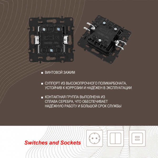 Выключатель двухклавишный, 10AX 250V 217.30-2.shampan