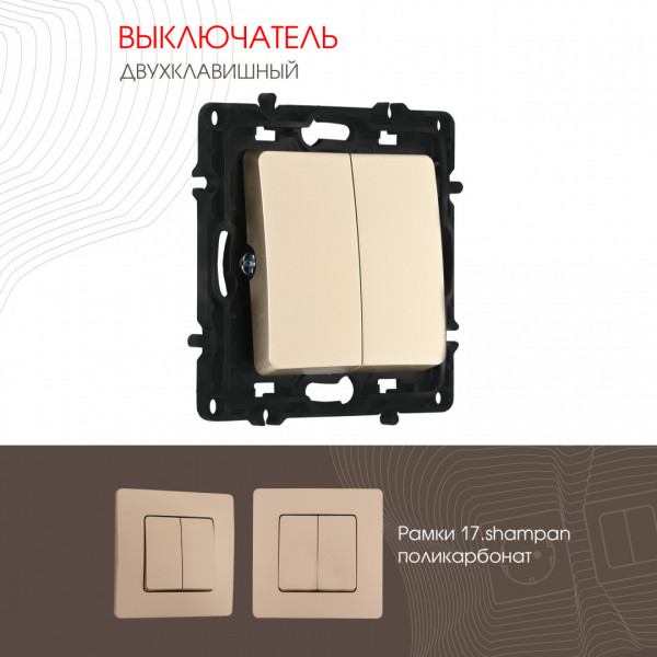 Выключатель двухклавишный, 10AX 250V 217.30-2.shampan