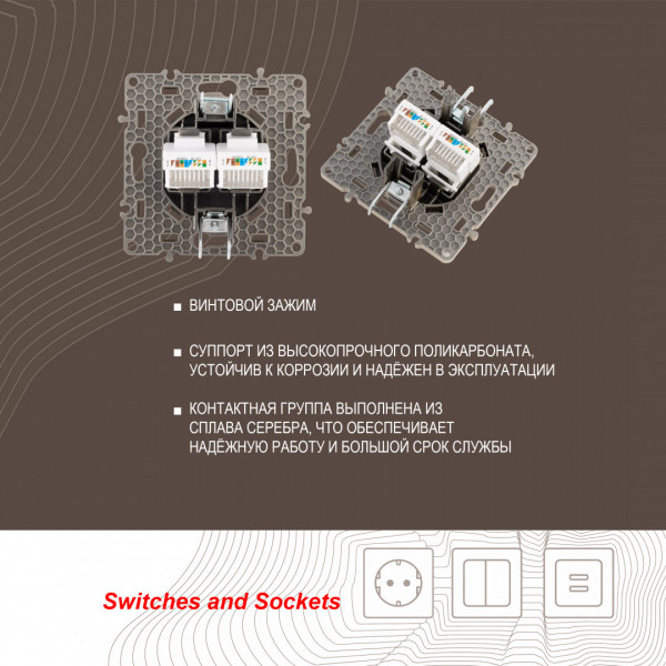 Розетка RJ45 х 2 217.45-2.shampan