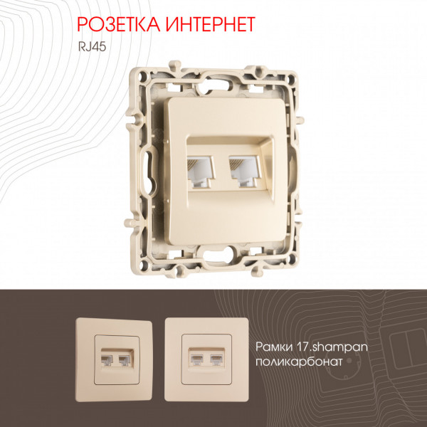 Розетка RJ45 х 2 217.45-2.shampan