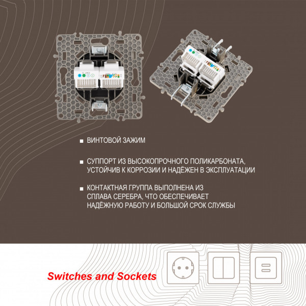 Розетка телефонная RJ11 + компьютерная RJ45 217.44-1.shampan