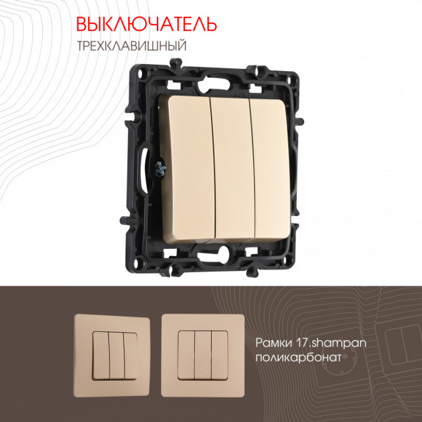 Выключатель трёхклавишный, 10AX 250V 217.30-3.shampan