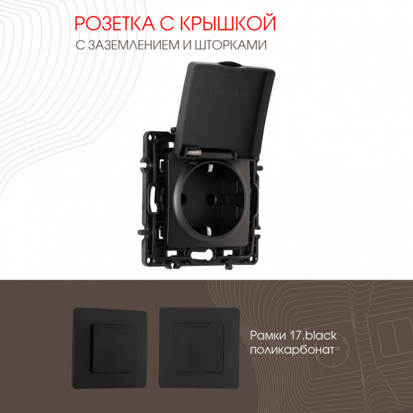 Розетка с заземлением, шторками и защитной крышкой, 16A 250V 217.41-1.black