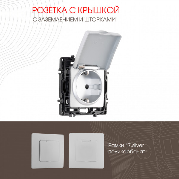 Розетка с заземлением, шторками и защитной крышкой, 16A 250V 217.41-1.silver