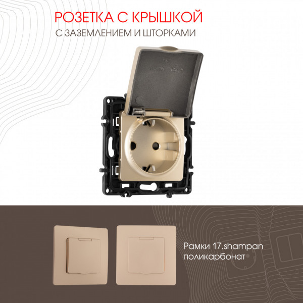 Розетка с заземлением, шторками и защитной крышкой, 16A 250V 217.41-1.shampan