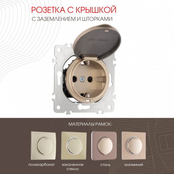 Розетка с заземлением, шторками и защитной крышкой, 16A 250V 202.41-1.shampan