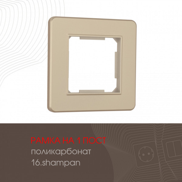 Рамка из поликарбоната на 1 пост 502.16-1.shampan