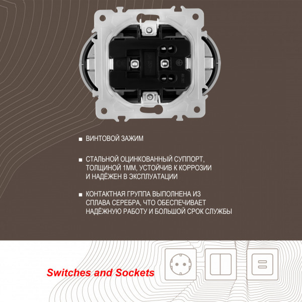 Розетка двойная с заземлением, 16A 250V 202.40-2.silver