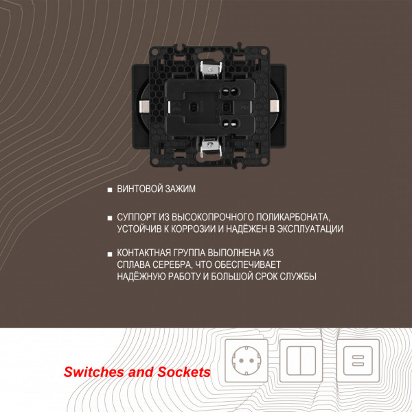 Розетка двойная с заземлением, 16A 250V 217.40-2.black