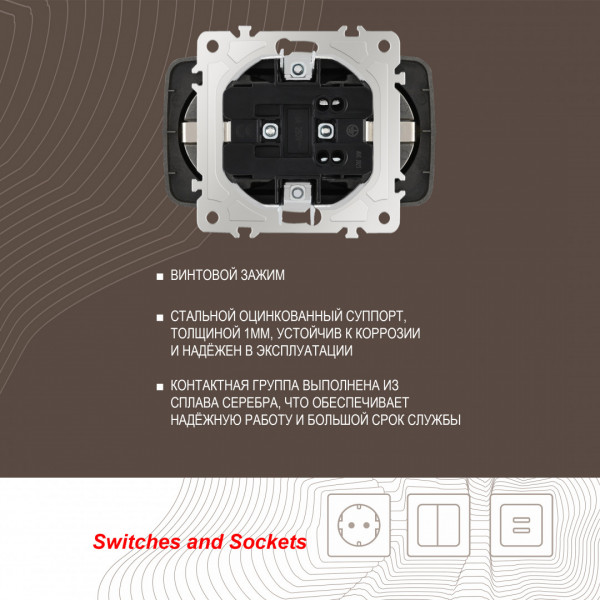 Розетка двойная с заземлением, 16A 250V 205.40-2.shampan