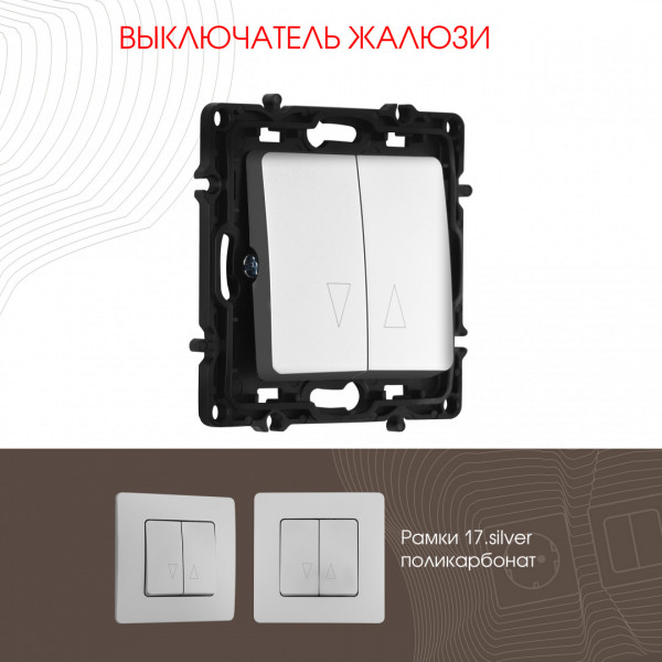 Выключатель жалюзи, 10A 250V 217.38-2.silver